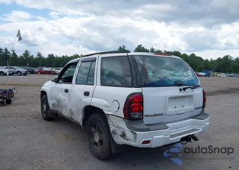 2004 Chevrolet Trailblazer Ls из США, поврежденный, VIN 1GNDT13SX42212451